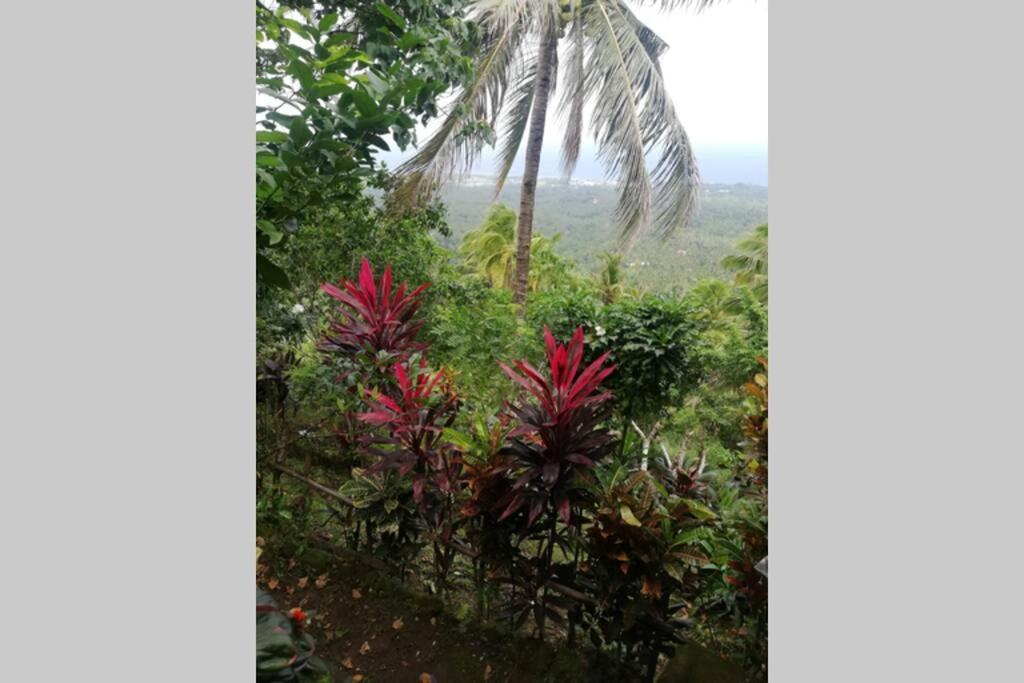 The Balcony Of The Camiguin Island Daire Mambajao Dış mekan fotoğraf