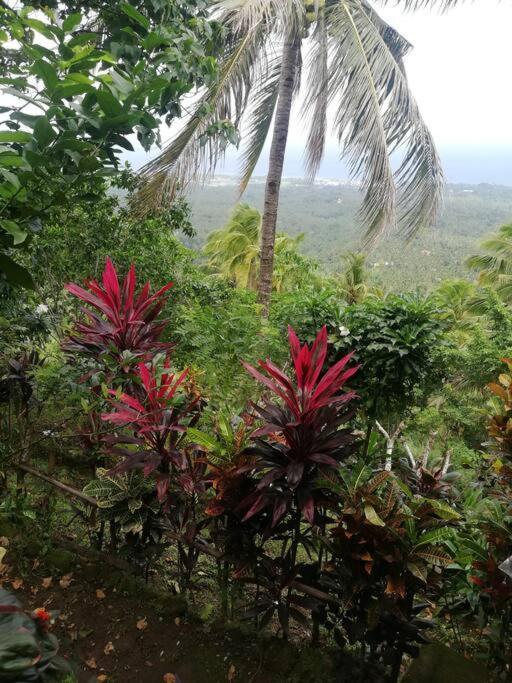 The Balcony Of The Camiguin Island Daire Mambajao Dış mekan fotoğraf